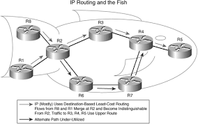 Fish Diagram/Topology