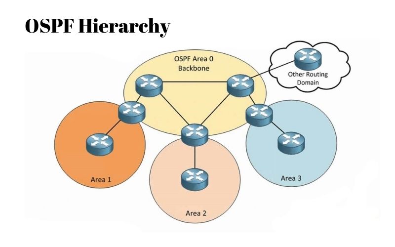 OSPF Hierarchy