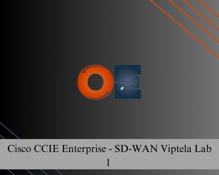 Cisco CCIE Enterprise - SD-WAN Viptela Lab 1 