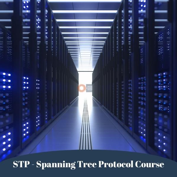 STP - Spanning Tree Protocol Course