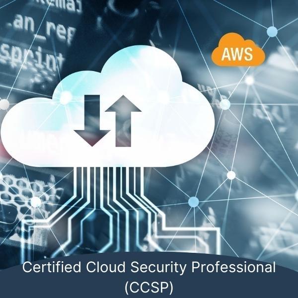 Certified Cloud Security Professional (CCSP) Course 