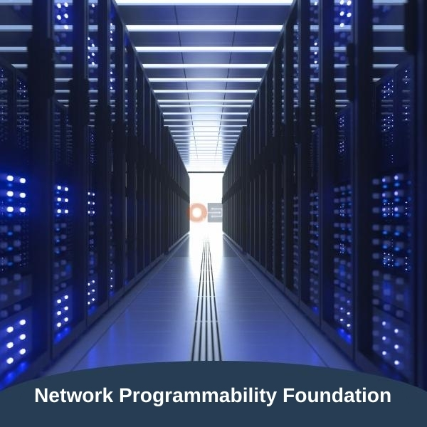 Network Programmability Foundation